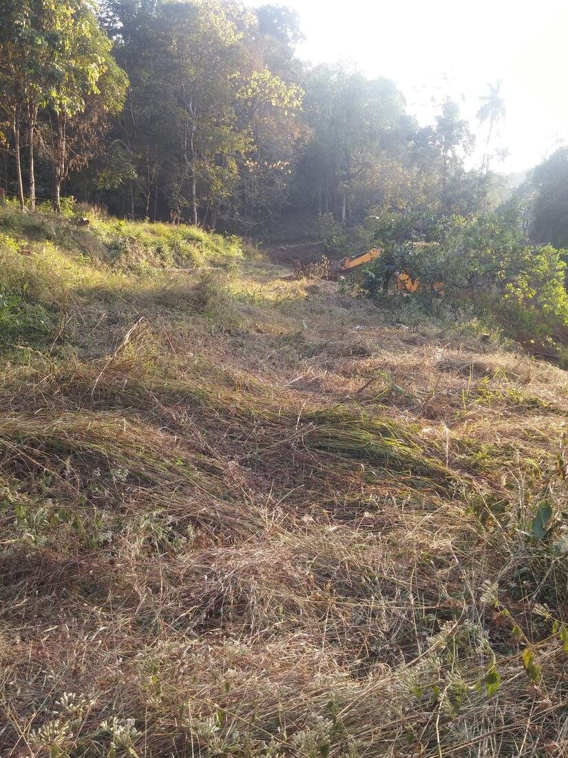 Second JCB pass leveling the sloped land, late 2017