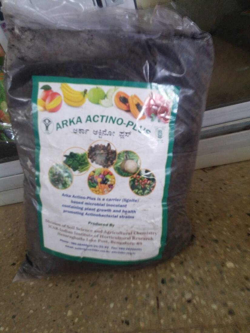 First fertilizer application to prepare the soil, 2018