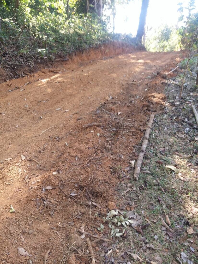 Access road being built into the land, February 2019